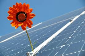 Solar Energy Consumption