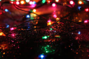 7 Factors For Best Quality Solar Christmas Lights