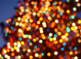 Top Reasons To Switch To Solar Christmas Lights